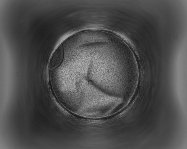 X0000085731382200703231039