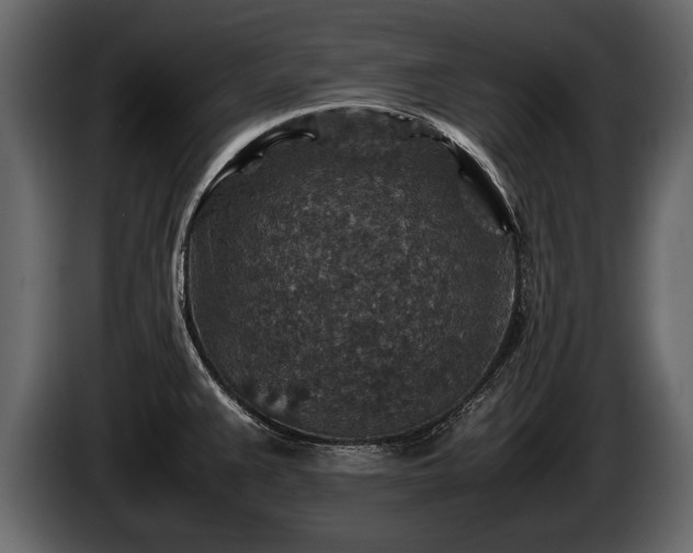 X0000085731383200703231039