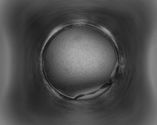 X0000085731384200703231039