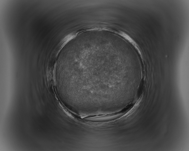 X0000085731385200703231039