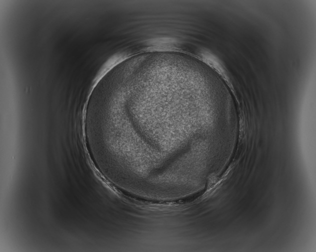 X0000085731386200703231039