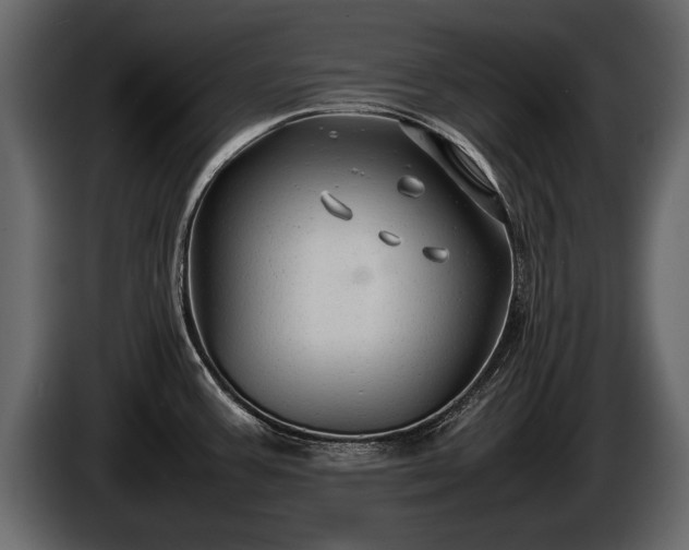 X0000085731387200703231039