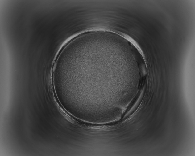 X0000085731388200703231039