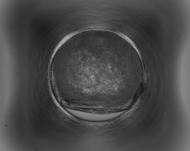 X0000085731389200703231039