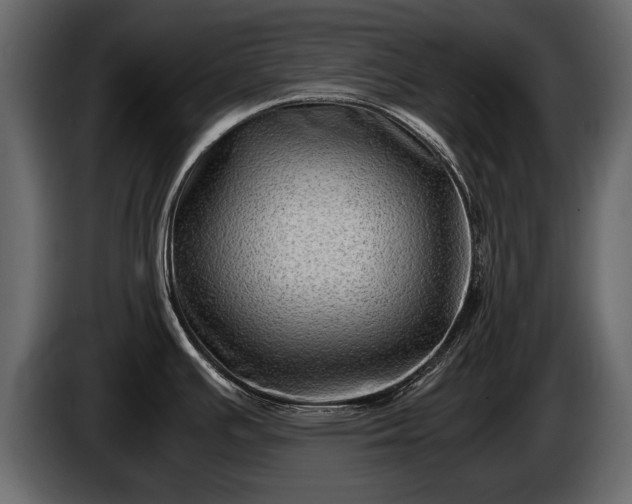 X0000085731391200703231038