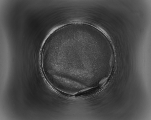 X0000085731392200703231038