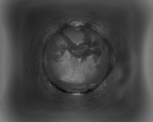 X0000085731393200703231038