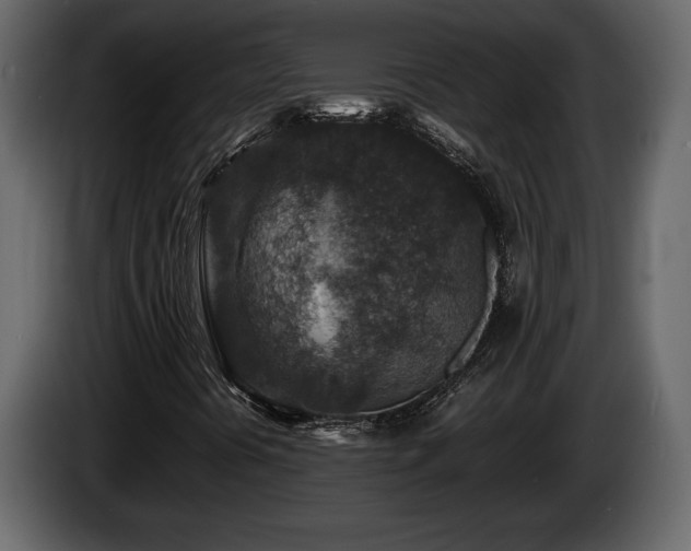 X0000085731394200703231038