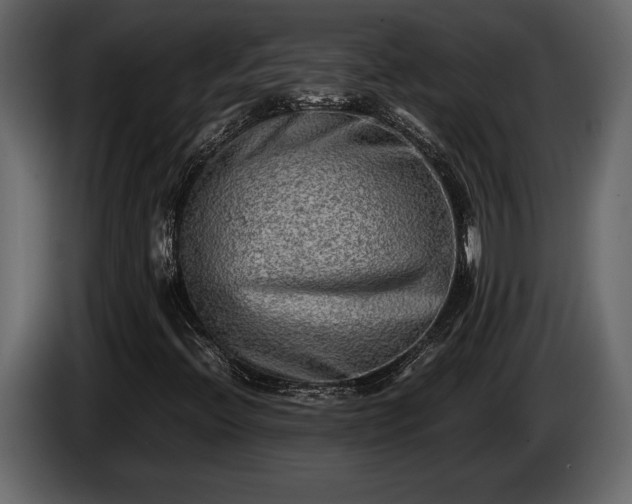 X0000085731396200703231038