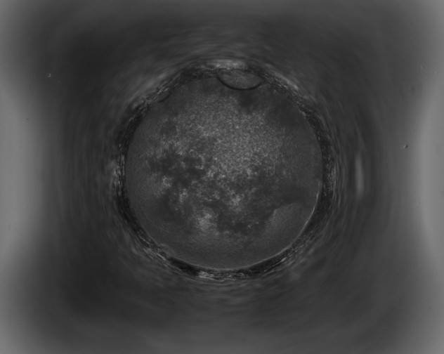 X0000085731397200703231038