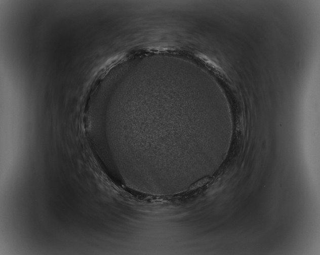 X0000085731398200703231038