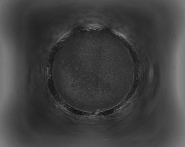 X0000085731399200703231038