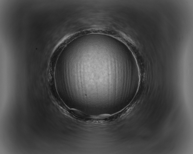 X0000085731400200703231038