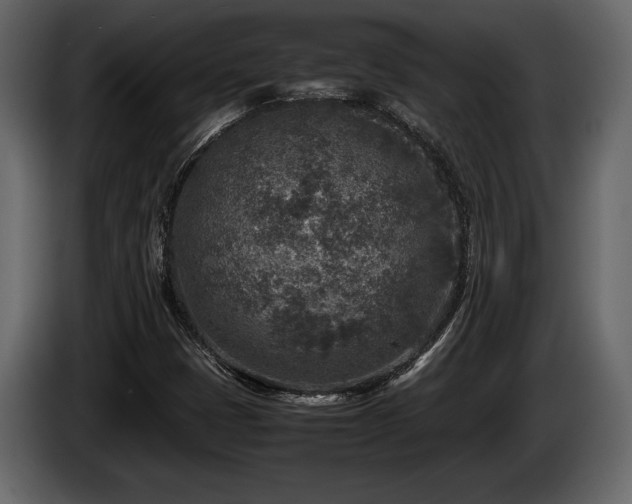 X0000085731401200703231038