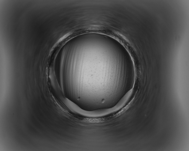 X0000085731402200703231038