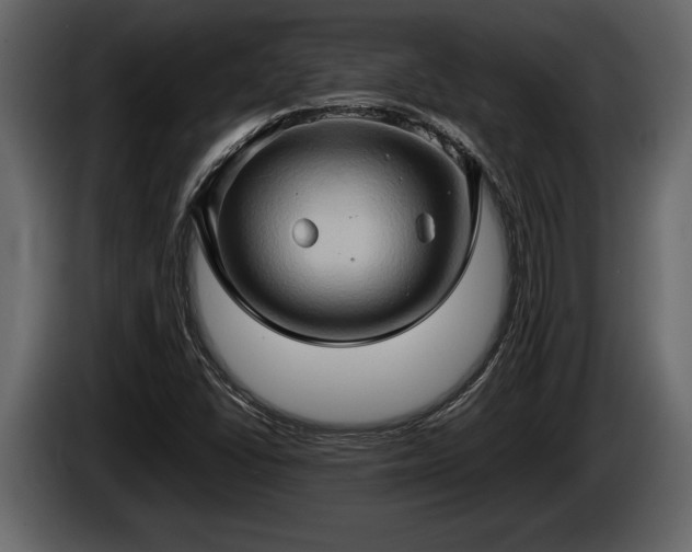 X0000085731406200703231038