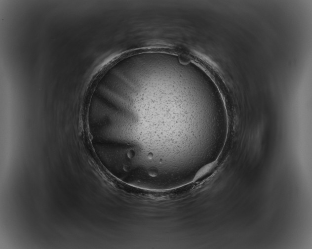 X0000085731407200703231038