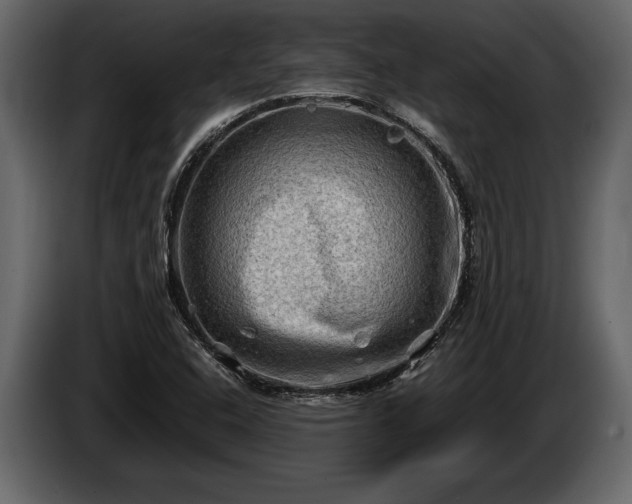 X0000085731408200703231038