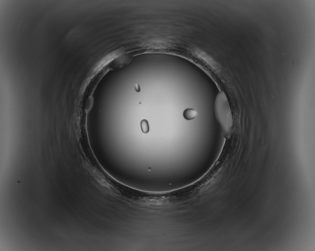 X0000085731410200703231038