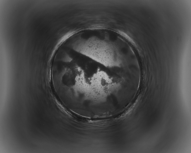 X0000085731413200703231038