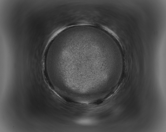 X0000085731415200703231038