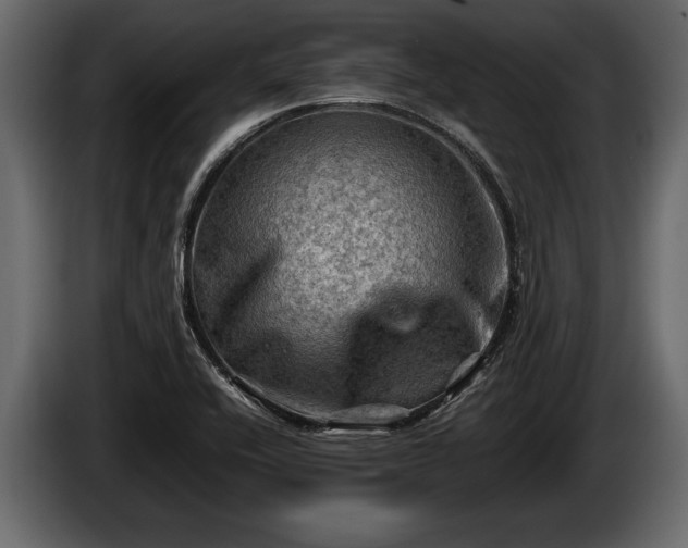 X0000085731416200703231038