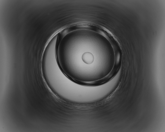 X0000085731418200703231038