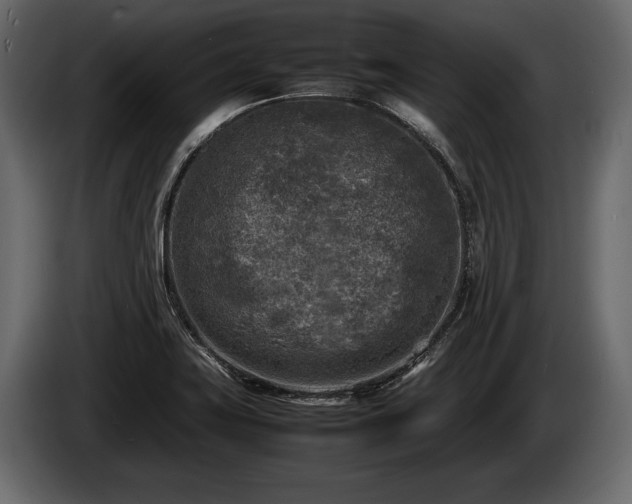 X0000085731419200703231038