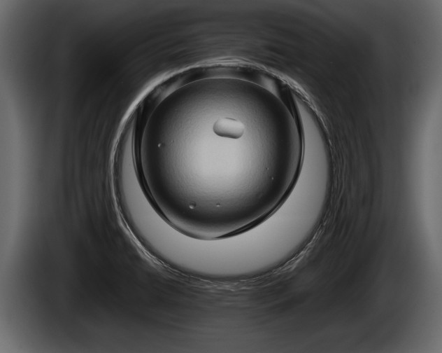 X0000085731422200703231038