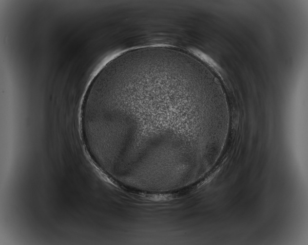 X0000085731423200703231038