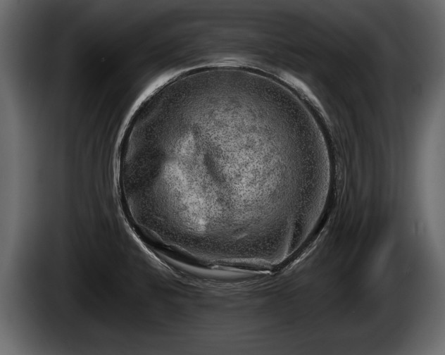 X0000085731424200703231038