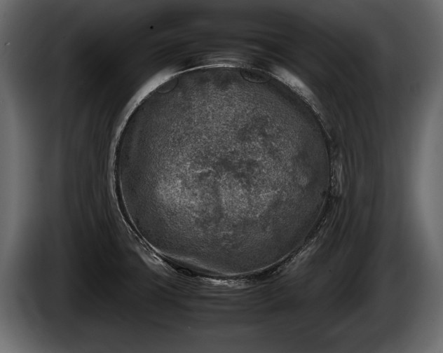 X0000085731427200703231038