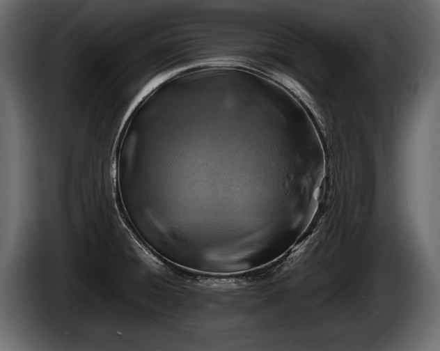 X0000085731428200703231038