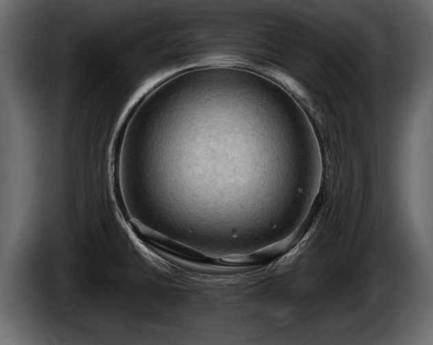 X0000085731430200703231038