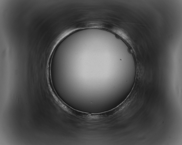 X0000085731431200703231038