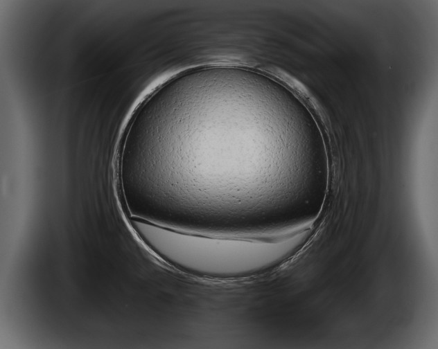 X0000085731432200703231038