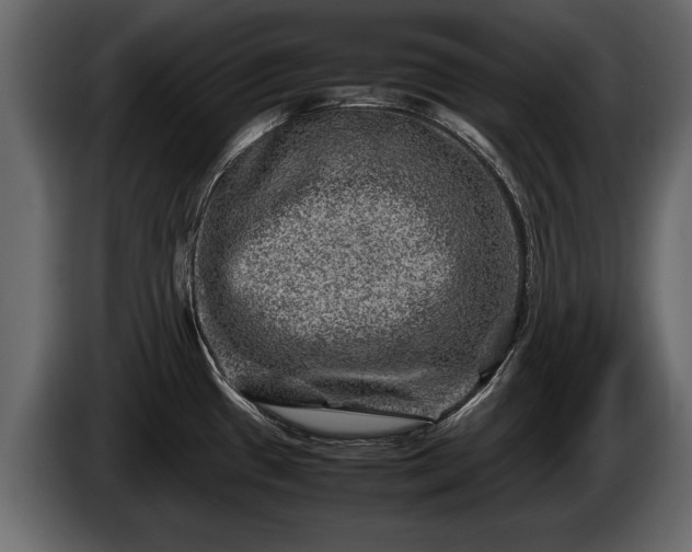 X0000085731433200703231038