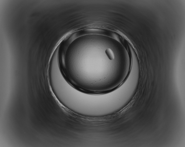 X0000085731434200703231038