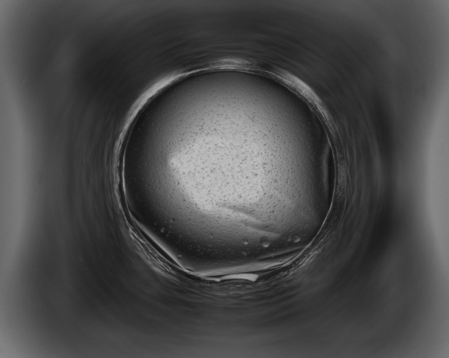 X0000085731435200703231038