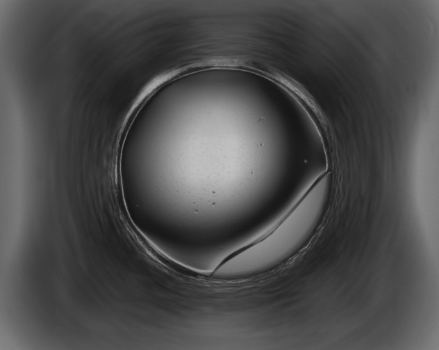 X0000085731436200703231038