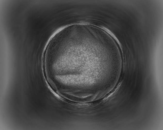 X0000085731437200703231038