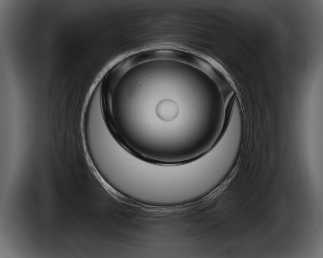 X0000085731438200703231038