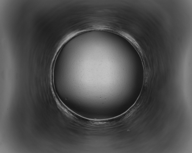 X0000085731439200703231038