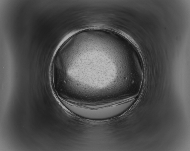 X0000085731440200703231038