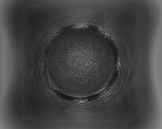 X0000085731441200703231038