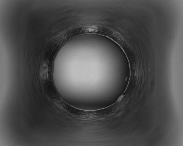 X0000085731442200703231038