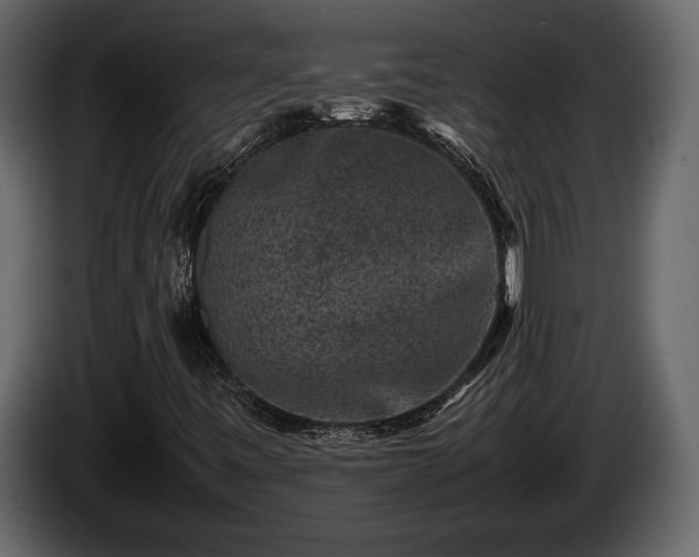 X0000085731443200703231038