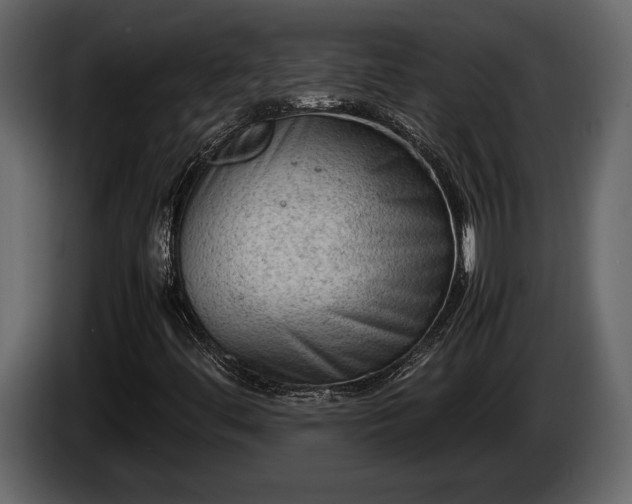 X0000085731444200703231038