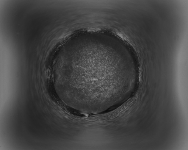 X0000085731445200703231038