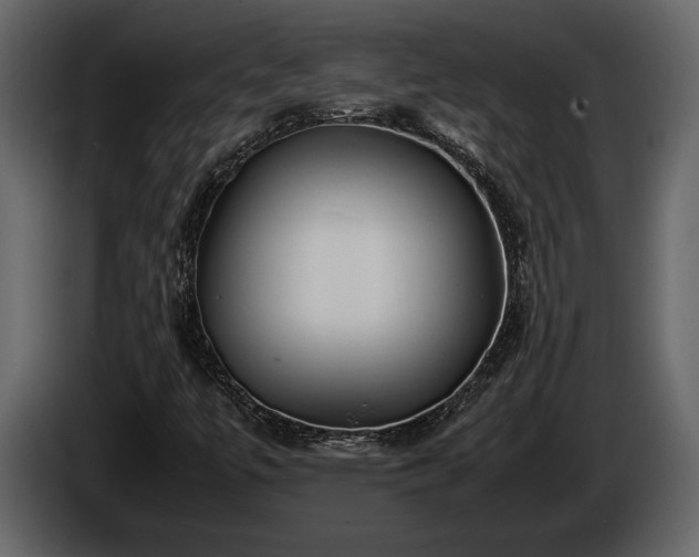 X0000085731447200703231038